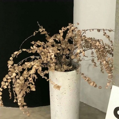 阿里福瑞交流群